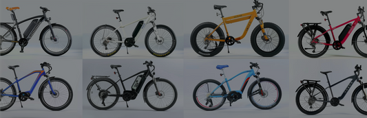 Wie viele verschiedene E-Bike-Typen gibt es?