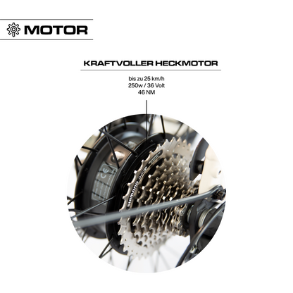 36 Volt 250 W Hinterradnabenmotor am Keskin cBike1 E-Bike in Sand – wartungsfreier, leiser Antrieb für effiziente Unterstützung im Stadtverkehr in Deutschland